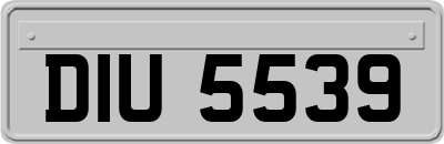 DIU5539