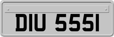 DIU5551