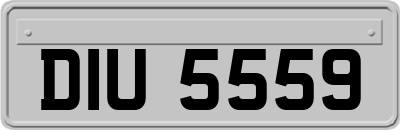 DIU5559