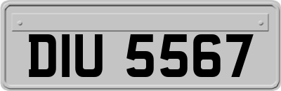 DIU5567