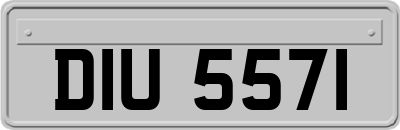 DIU5571