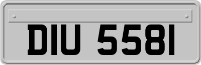 DIU5581