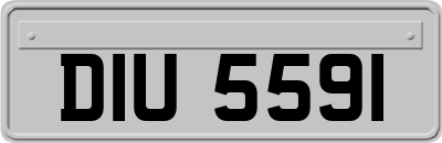 DIU5591