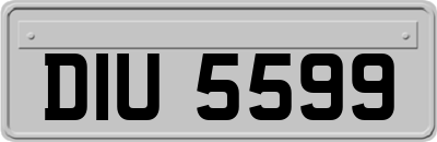 DIU5599