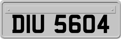 DIU5604