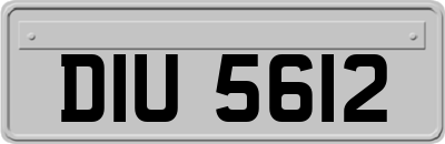 DIU5612