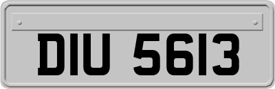 DIU5613