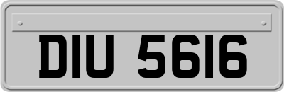 DIU5616