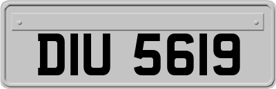 DIU5619