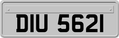 DIU5621