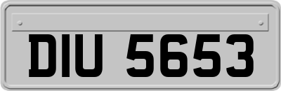 DIU5653