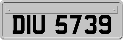 DIU5739