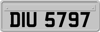 DIU5797