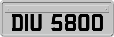 DIU5800