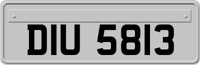 DIU5813