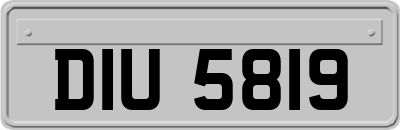 DIU5819