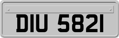 DIU5821