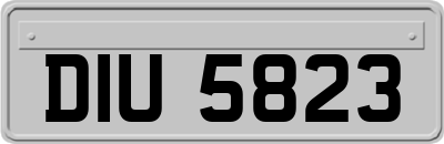 DIU5823