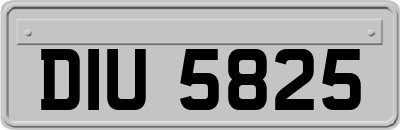 DIU5825