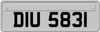 DIU5831