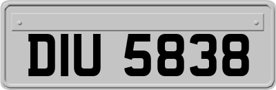 DIU5838