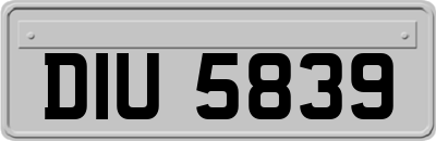 DIU5839