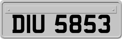 DIU5853