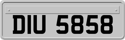 DIU5858