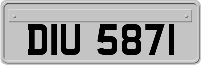 DIU5871