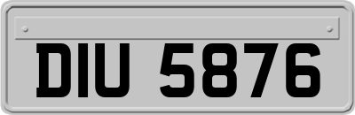 DIU5876