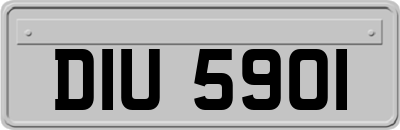 DIU5901