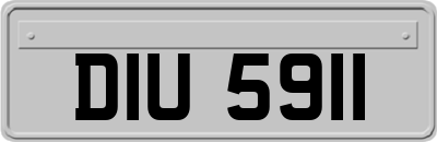 DIU5911