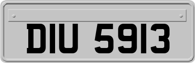 DIU5913