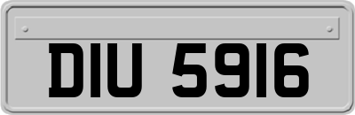 DIU5916