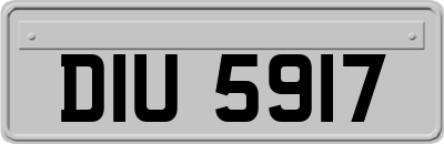 DIU5917