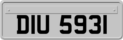 DIU5931
