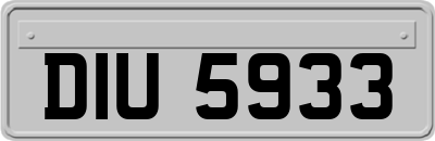 DIU5933