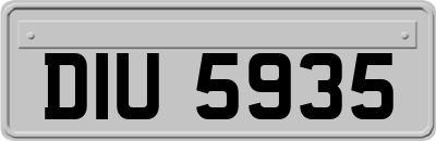 DIU5935