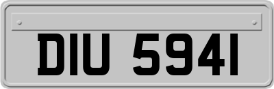 DIU5941