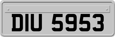 DIU5953