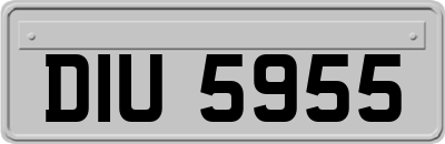 DIU5955