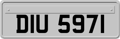 DIU5971