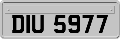 DIU5977