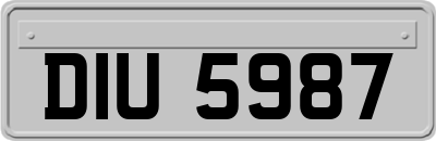 DIU5987