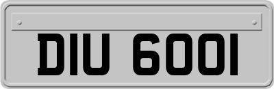 DIU6001