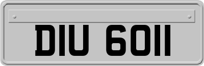DIU6011