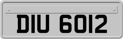 DIU6012