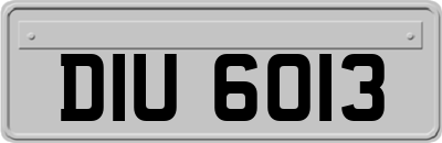 DIU6013
