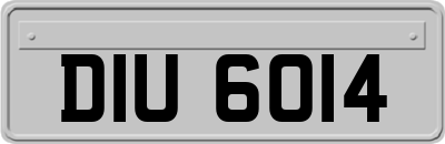 DIU6014