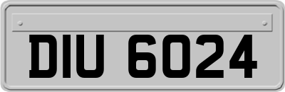DIU6024